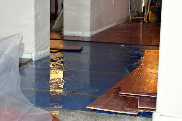 Professional Water Damage technician working in Peck, MI