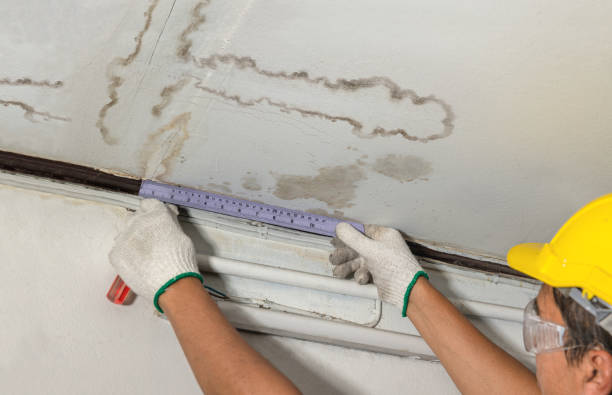 Reliable Water Damage contractor in Peck, MI by Water Damage Irwin